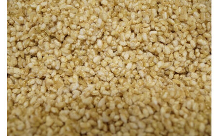 麹チーズケーキ（こうじ香る）4～6人用（無添加・グルテンフリー）［里山ボタニカル］