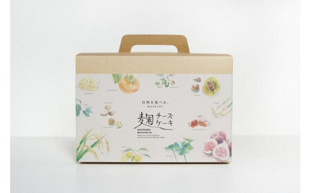 麹チーズケーキ おすすめ4種 つめ合わせBOX（無添加・グルテンフリー）［里山ボタニカル］