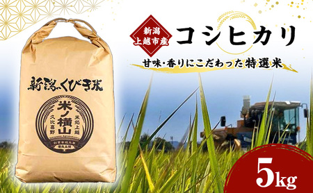 コシヒカリ 【令和5年産】 新潟上越市産コシヒカリ 5kg こしひかり 米 お米 こめ おすすめ ふるさと納税 新潟 新潟県産 にいがた 上越 上越産  | 新潟県上越市 | ふるさと納税サイト「ふるなび」