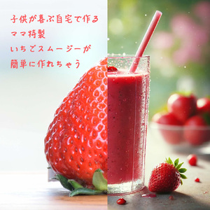 国産無添加冷凍いちご越後姫約1000g×3個合計3kgおまけの苺アイス