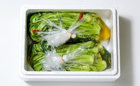 漬物専門店!国産野菜使用:漬物!人気の野沢菜漬!5kg(2.5kg×2袋)新潟県上越市清里産 漬物 野沢菜 国産 食品 発酵 加工食品 人気 新潟 上越 ごはんのお供