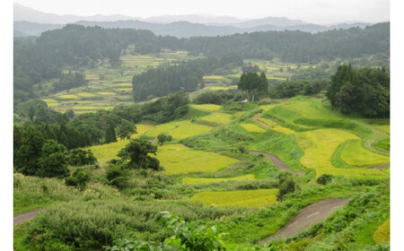 数量限定★令和7年産|棚田米コシヒカリ|新潟上越牧産ブランド米「幻米」2kg(2kg×1袋)玄米 お米 こめ 白米