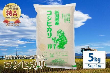 お米マイスターが育てた特別栽培米 コシヒカリ 上越頸城産 令和5年産 5kg(5kg×1袋)白米