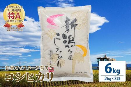 お米マイスターが育てた特別栽培米 コシヒカリ 上越頸城産 令和5年産 6kg(2kg×3袋)白米