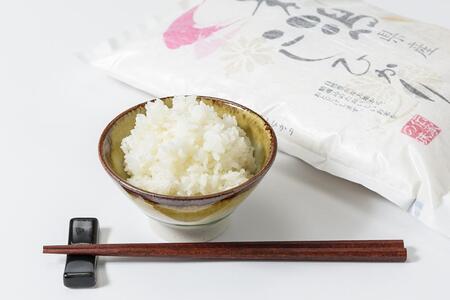 お米マイスターが育てた特別栽培米 コシヒカリ 上越頸城産 令和5年産 6kg(2kg×3袋)白米