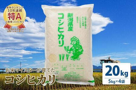 お米マイスターが育てた 特別栽培米 コシヒカリ 上越頸城産 令和5年産 20kg(5kg×4袋)白米