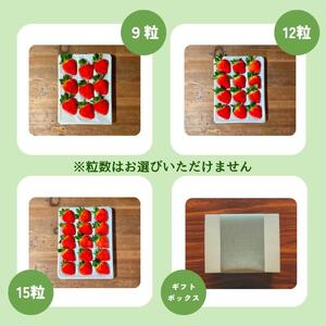 【先行予約｜2026年1月中旬より出荷開始】いちご 大粒 カラダよろこぶ やみつき 越後姫 約400g×1パック (9～15粒入り) イチゴ 苺 上越市 新潟