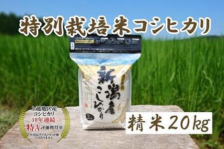 令和5年産｜新潟上越三和産｜特別栽培米コシヒカリ（従来種）20kg（2kg×10）精米