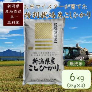 お米マイスターが育てた特別栽培米 精米コシヒカリ 上越産 令和7年産 6kg(2kg×3袋)無洗米