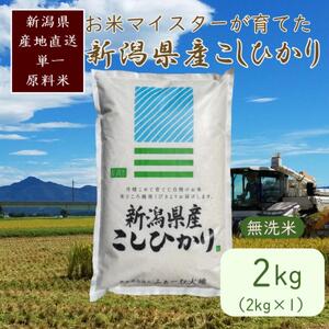 令和7年産 お米マイスターが育てた上越産コシヒカリ2kg(2kg×1)無洗米