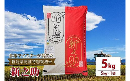 令和7年産お米マイスターが育てた新潟県認証特別栽培米「新之助」上越頸城産 5kg(5kg×1)精米 24,850円