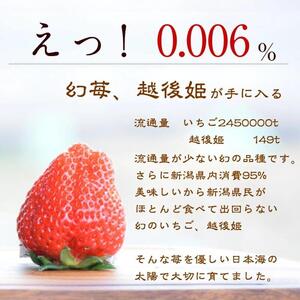 いちご 雪国完熟越後姫桃薫シングル(約380g)ギフト箱入り 食べ比べ セット イチゴ 苺 果物 フルーツ 新潟