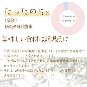 いちご 雪国完熟越後姫桃薫シングル(約380g)ギフト箱入り 食べ比べ セット イチゴ 苺 果物 フルーツ 新潟