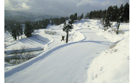 【数量限定】令和7年/新潟上越産「標高480mの山間地で育てた棚田米コシヒカリ」精米10kg