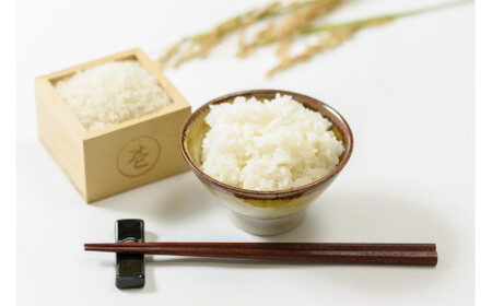 【数量限定】令和7年/新潟上越産「標高480mの山間地で育てた棚田米コシヒカリ」精米10kg