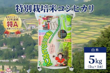 【50セット限定】令和5年産 新潟上越清里産 特別栽培米コシヒカリ5kg(5kg×1袋)白米