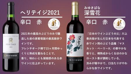 フェミナリーズ世界ワインコンクール2024　金賞受賞岩の原ワイン6本セット