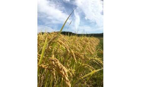 令和7年 新潟県産 JAS有機発芽玄米 3kg （ 1kg×3袋 ）アイガモ農法 こしひかり発芽玄米 上越市 三和区 富永農産 送料無料 安全・安心 玄米を上回る栄養、普通の炊飯器で炊けます