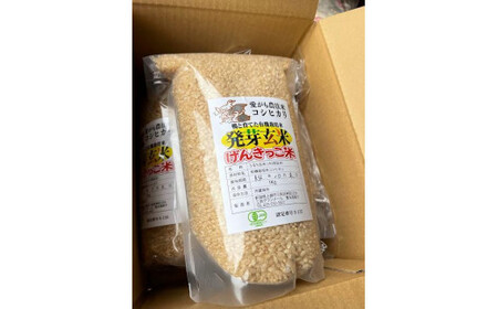 令和7年 新潟県産 JAS有機発芽玄米 3kg （ 1kg×3袋 ）アイガモ農法 こしひかり発芽玄米 上越市 三和区 富永農産 送料無料 安全・安心 玄米を上回る栄養、普通の炊飯器で炊けます