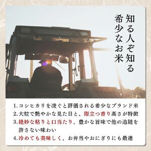 令和7年 新潟上越産 みずほの輝き 定期便 【6ヶ月連続お届け】5kg×6回 30kg 新潟 新潟県 限定