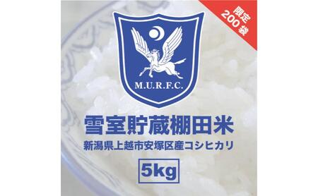 コシヒカリ 雪むろ 棚田米 5kg 白米 新米 明治大学ラグビー部 安塚 雪室 こめ 新潟 新潟県産 上越 上越市