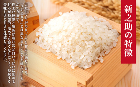 【10月中旬より順次出荷】新潟県上越市産 特別栽培米 新之助 令和7年産 10kg(5kg×2袋)ご飯 おにぎり