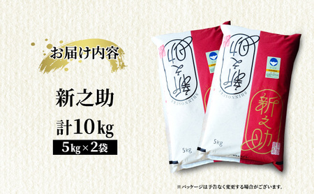 【10月中旬より順次出荷】新潟県上越市産 特別栽培米 新之助 令和7年産 10kg(5kg×2袋)ご飯 おにぎり