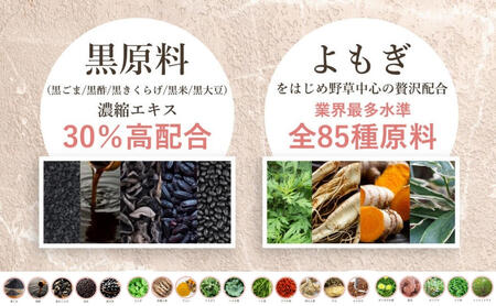黒とよもぎの美漢酵素　30日分 酵素 エイジングケア 漢方由来 美容 健康 濃縮 濃縮タイプ こだわり製法 オリジナル酵素