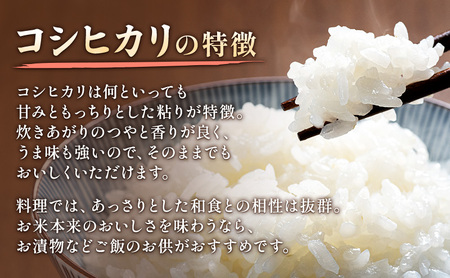 令和7年 新潟県上越市産 コシヒカリ（特別栽培米） 5kg 5キロ 米 こしひかり 山本農園 ご飯 精米 新潟 上越