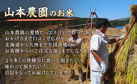 令和7年 新潟県上越市産 コシヒカリ（特別栽培米） 5kg 5キロ 米 こしひかり 山本農園 ご飯 精米 新潟 上越