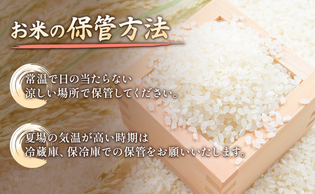 令和7年 新潟県上越市産 コシヒカリ（特別栽培米） 5kg 5キロ 米 こしひかり 山本農園 ご飯 精米 新潟 上越