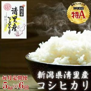 ふるさと納税 上越市 令和5年産 新潟上越清里産 特別栽培米コシヒカリ10kg(2kg×5袋)玄米 ふるさと納税米令和6年産 新潟県上越産 特別栽培米