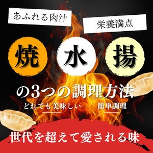 餃子 越後まるきよ餃子 4袋 セット ぎょうざ ギョウザ ごはんのお供