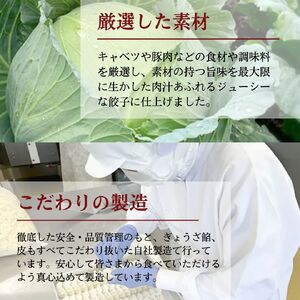 餃子 越後まるきよ餃子 4袋 セット ぎょうざ ギョウザ ごはんのお供
