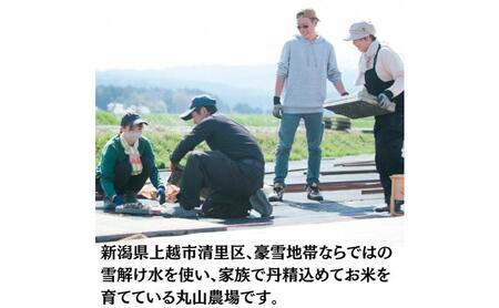 令和7年 新潟県産 特別栽培米 コシヒカリ 5kg 5キロ上越市清里区 新潟 精米 従来品種 希少 限定 送料無料