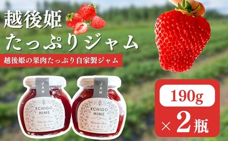 越後姫　ジャム2個入り イチゴ 苺 ジャム 上越市 新潟