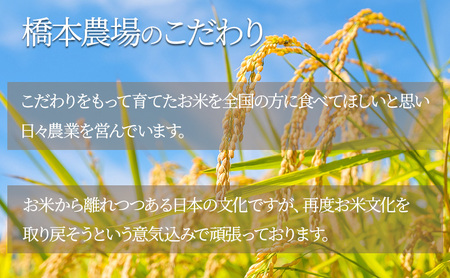 【新潟県上越市産　令和6年産】栽培期間中 農薬不使用コシヒカリ5kg 精米 米