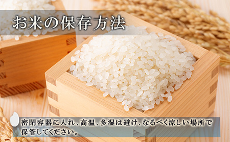 【新潟県上越市産　令和6年産】栽培期間中 農薬不使用コシヒカリ5kg 精米 米