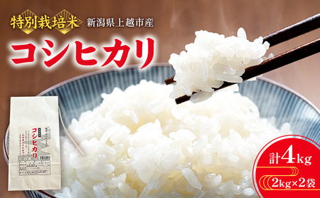 【完熟・特別栽培米】令和6年産 永田農法米コシヒカリ 2kg×2袋 新潟県 上越市 精米 米