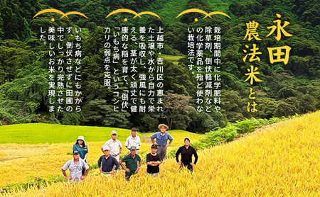 【完熟・特別栽培米】令和6年産 永田農法米コシヒカリ 2kg×2袋 新潟県 上越市 精米 米