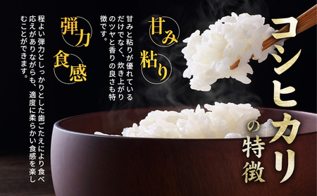 【完熟・特別栽培米】令和6年産 永田農法米コシヒカリ 2kg×2袋 新潟県 上越市 精米 米