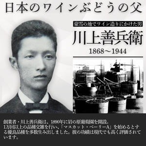 ワイン 岩の原スパークリング・善スパークリングワイン４本セット（750ml） 酒 ギフト 新潟 上越
