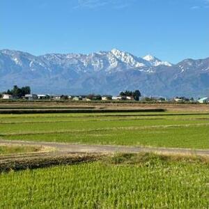 令和7年 新潟県産コシヒカリ 2kg 2キロ 上越市 風間農場 星の清里米 従来コシヒカリ 白米 精米 送料無料 安全・安心こしひかり 