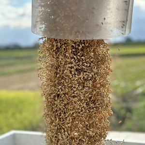 令和7年 新潟県産コシヒカリ 2kg 2キロ 上越市 風間農場 星の清里米 従来コシヒカリ 白米 精米 送料無料 安全・安心こしひかり 