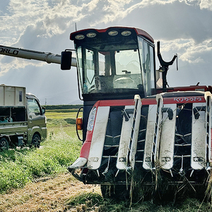 令和7年 新潟県産コシヒカリ 2kg 2キロ 上越市 風間農場 星の清里米 従来コシヒカリ 白米 精米 送料無料 安全・安心こしひかり 