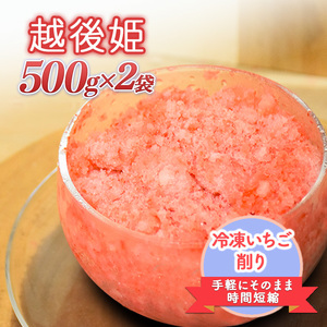 削りいちこ゛越後姫500g×2袋 冷凍 イチゴ 苺 果物 フルーツ 新潟