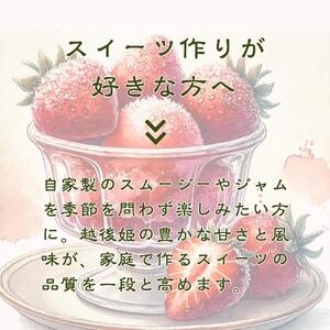 削りいちこ゛桃薫500g　12ヶ月定期便 冷凍 イチゴ 苺 果物 フルーツ 新潟