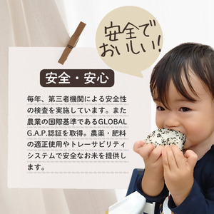 上越市産 新潟 特別米コシヒカリ　5kg 12か月定期便 上越市 精米 米 コメ こしひかり ブランド米