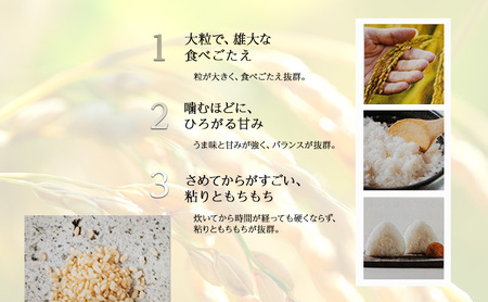 令和7年 新潟県上越市産 ゆうだい21 5kg 5キロ 奇跡のお米 宇都宮大学生まれ 中郷 やまざきふぁーむ 送料無料