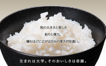 令和7年 新潟県上越市産 ゆうだい21 5kg 5キロ 奇跡のお米 宇都宮大学生まれ 中郷 やまざきふぁーむ 送料無料